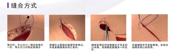新改pdo-3_05.jpg